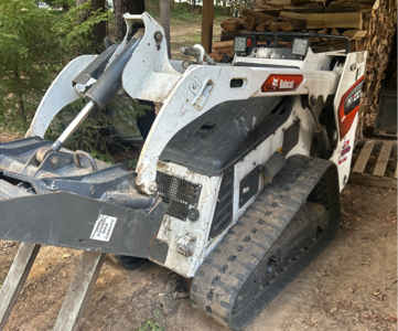 Bobcat