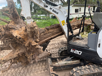 Bobcat E-20 w/long arm